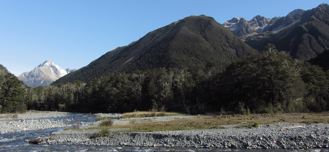 Travers River valley, Nelson Lakes National Park