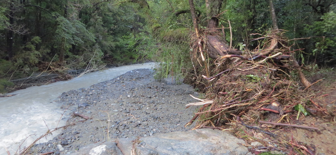 Browning Creek, Mt Richmond Forest Park
