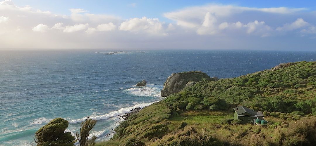 Long Harry, North-west Circuit, Rakiura National Park, Stewart Island