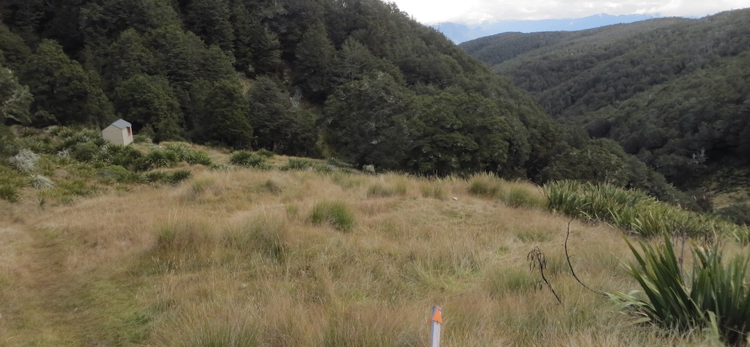 Mole Hut, Nelson Lakes National Park
